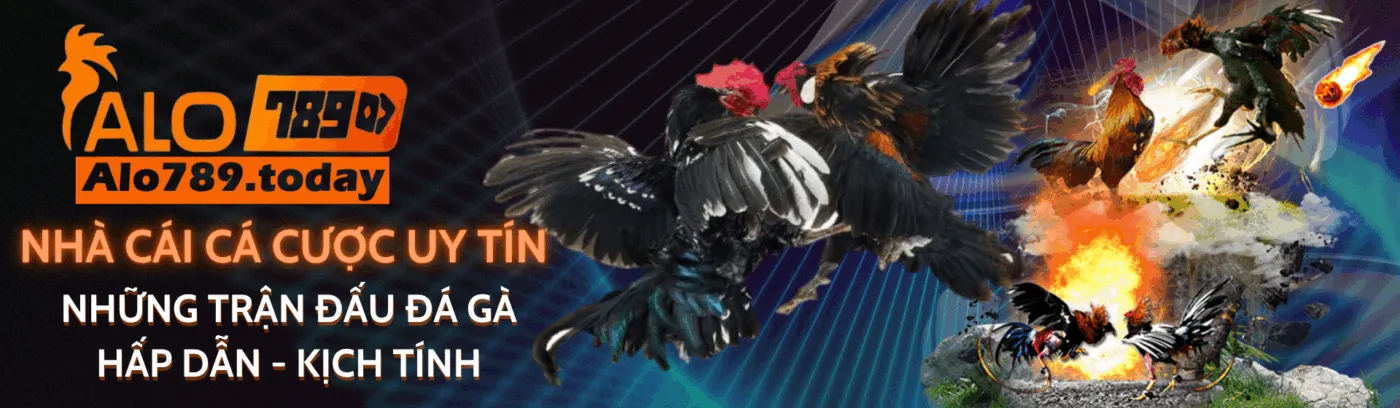 banner sovietqrmo.ru.com